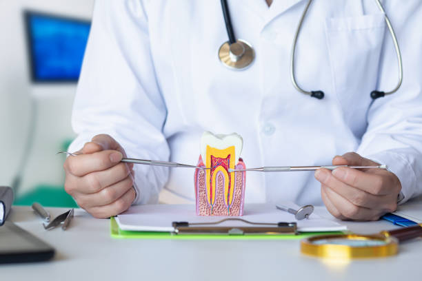 Best Emergency Broken Tooth Repair in Hidden Valley, IN